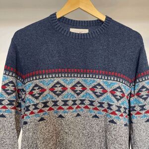 Hollister Mens Fair Isle Crew Neck Sweater‎ Blue Gray Knit Pullover